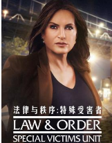 法律与秩序：特殊受害者第二十二季