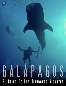 加拉帕戈斯群岛：巨大鲨鱼王国